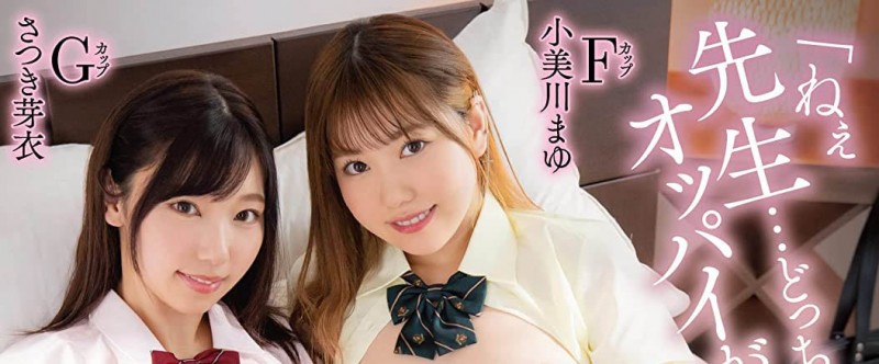 小美川まゆ(小美川麻友)无码作品HEYZO-2931介绍及封面预览