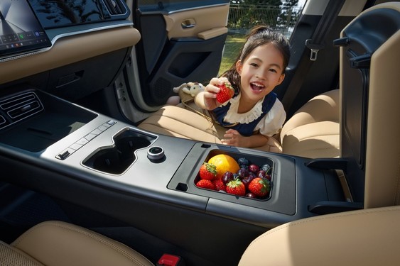 2026款宋Pro DM-i 220公里长续航发布 限时11.98万元起 2026款宋Pro DM-i 220公里长续航发布 限时11.98万元起